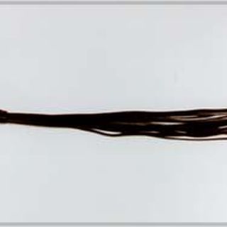 Thong whip leather med 50cm