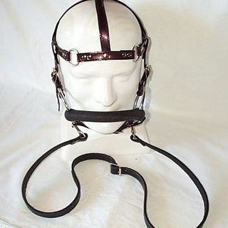 sample custom made head harness